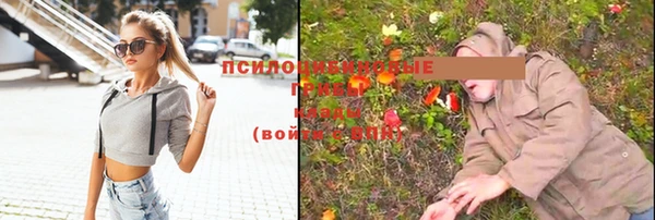 МДМА Бородино