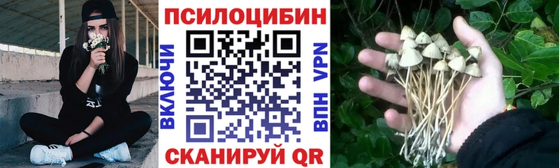 Псилоцибиновые грибы мухоморы  Суздаль 